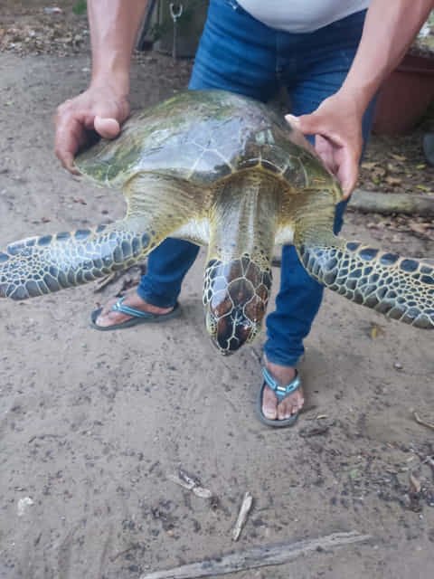 WhatsApp Image 2023 04 10 at 13.08.03