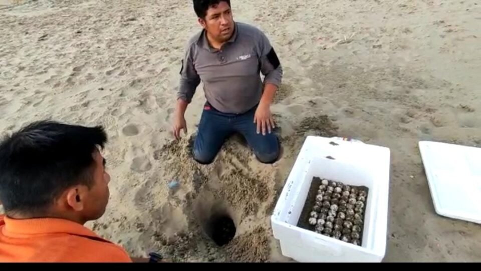 WhatsApp Image 2023 05 21 at 13.02.02