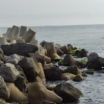 IMG 20230601 WA0015