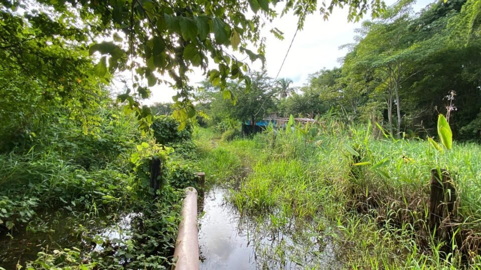 3e8df98e8dd34d899967563fa0f2fe2c