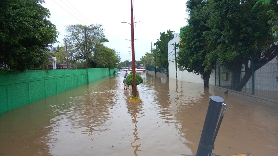 IMG 20231102 WA0039 scaled