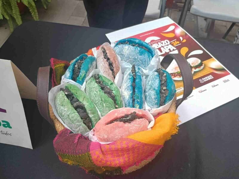 WhatsApp Image 2024 08 13 at 12.16.34