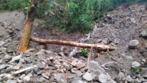 559367256 802070219037686 40925413372406262 n