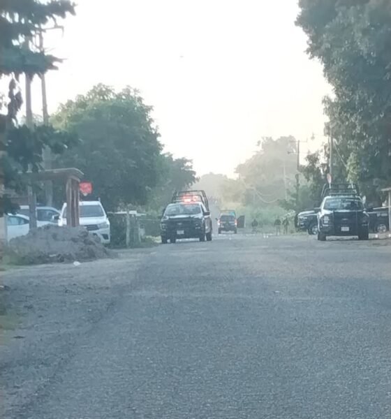 WhatsApp Image 2025 10 04 at 08.53.52