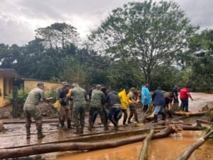 603787503 1459640486165743 1404379412771206770 n