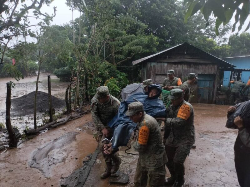 605361700 1459640376165754 2613479921866917207 n