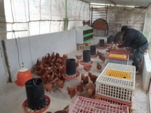 WhatsApp Image 2025 11 27 at 12.54.05