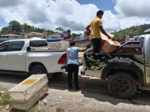 WhatsApp Image 2025 11 27 at 12.54.07