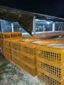 WhatsApp Image 2025 11 27 at 12.54.091